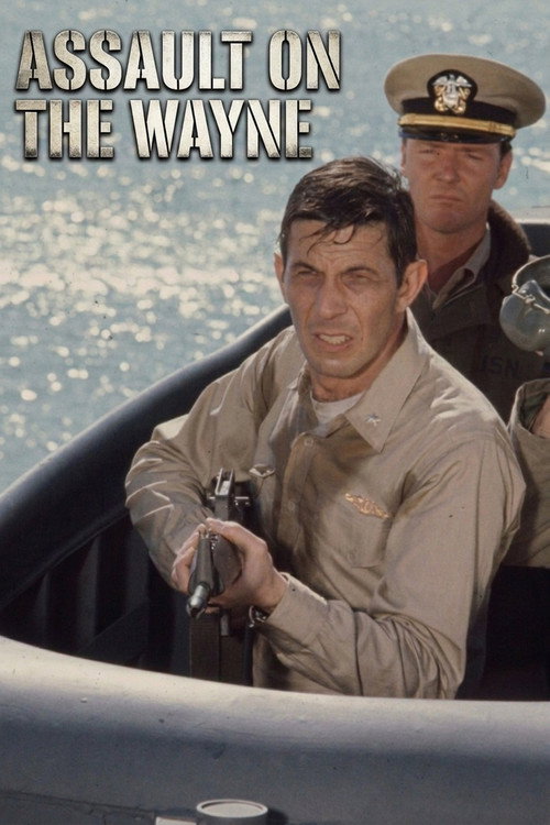 Movie poster for Assault on the Wayne (1971)