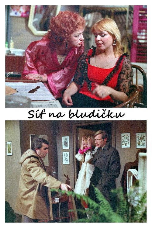 Movie poster for Síť na bludičku (1983)