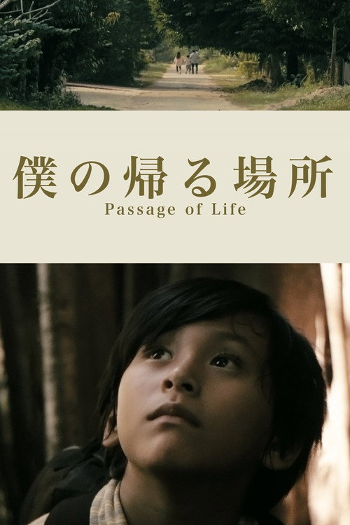 Movie poster for Passage of Life (2017)