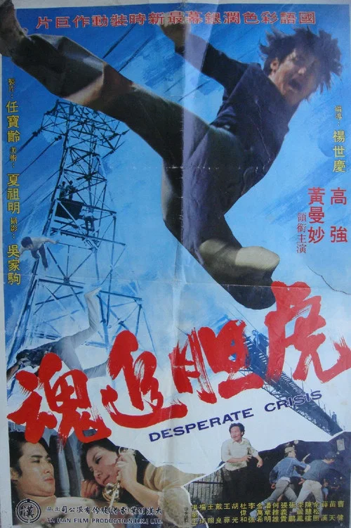 Movie poster for Desperate Crisis (1974)