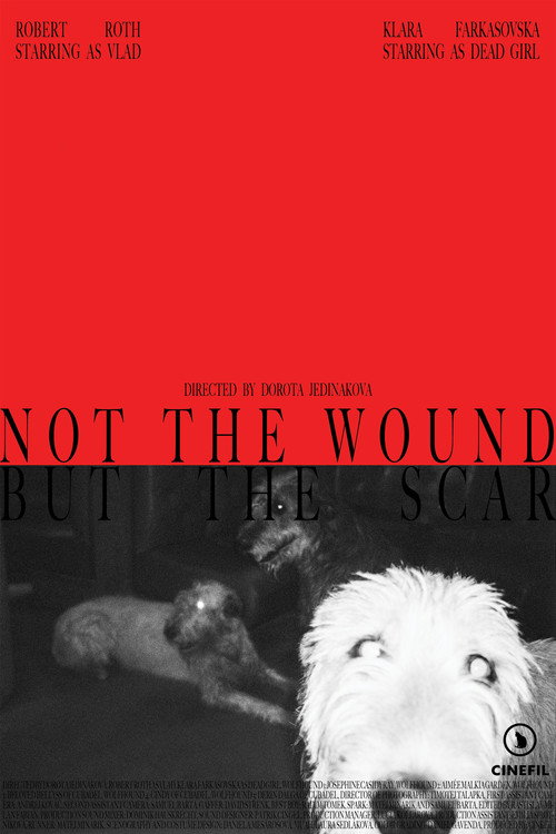 Movie poster for Not the Wound but the Scar (2025)
