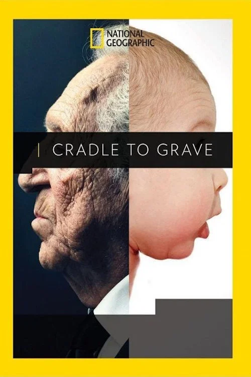 Movie poster for Cradle to Grave (2017)