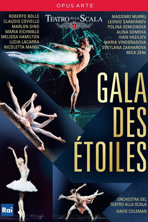 Movie poster for Gala des Étoiles (2015)