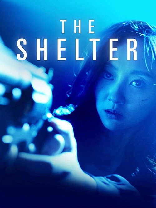 Movie poster for The Shelter (2015)