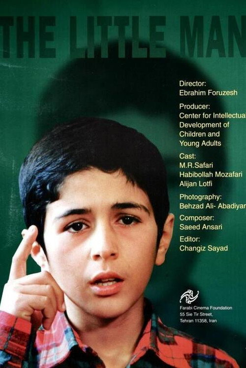 Movie poster for The Little Man (2000)