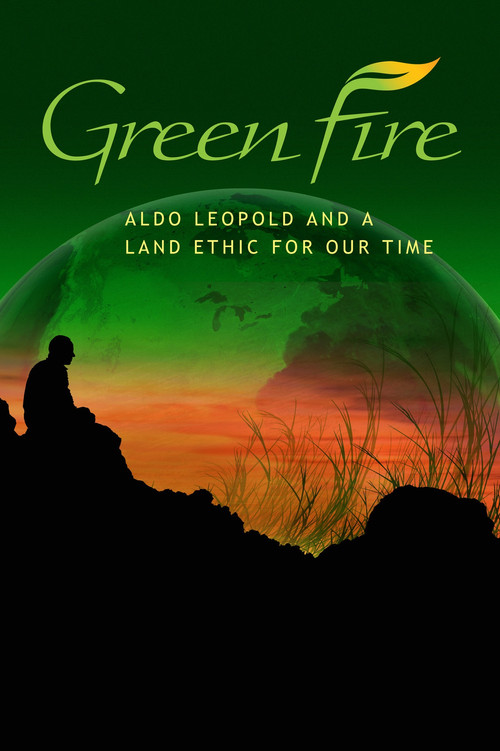 Movie poster for Green Fire (2011)