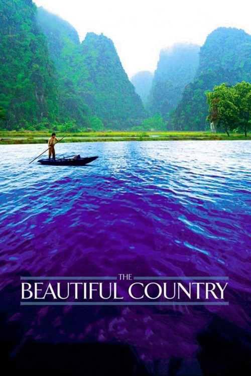 Movie poster for The Beautiful Country (2004)