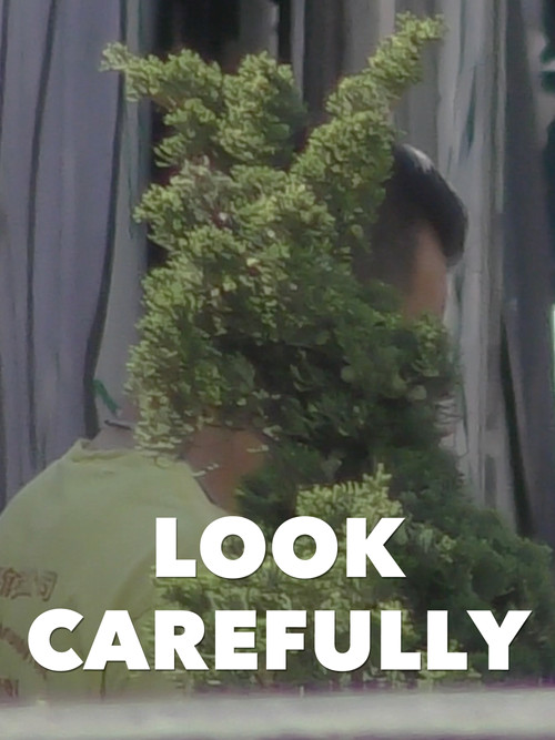 Movie poster for Look Carefully