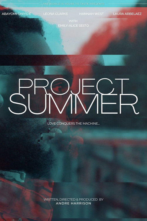 Movie poster for Project Summer (2022)