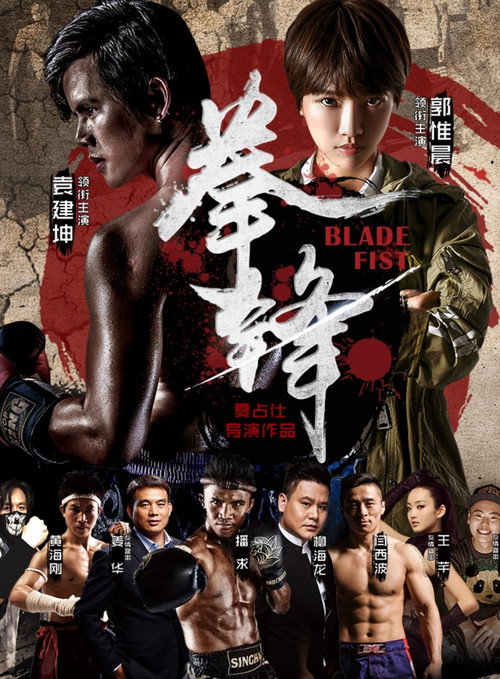 Movie poster for 拳锋 (2017)