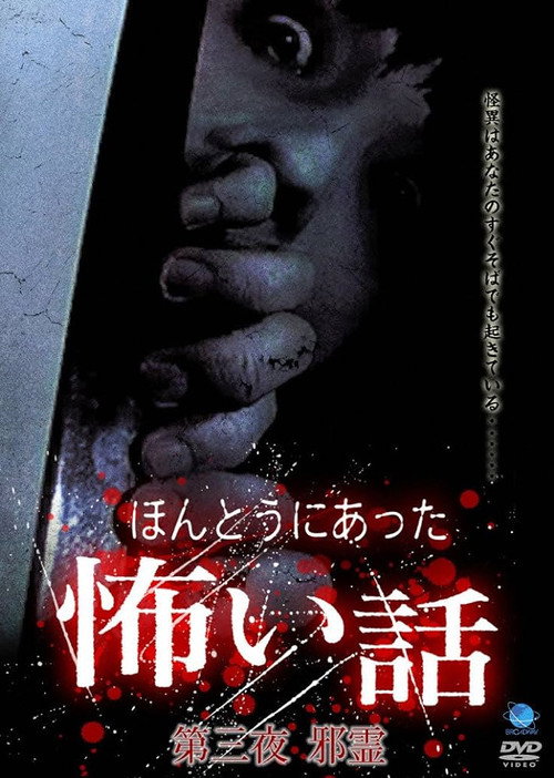 Movie poster for Scary True Stories: Night 3 (2005)