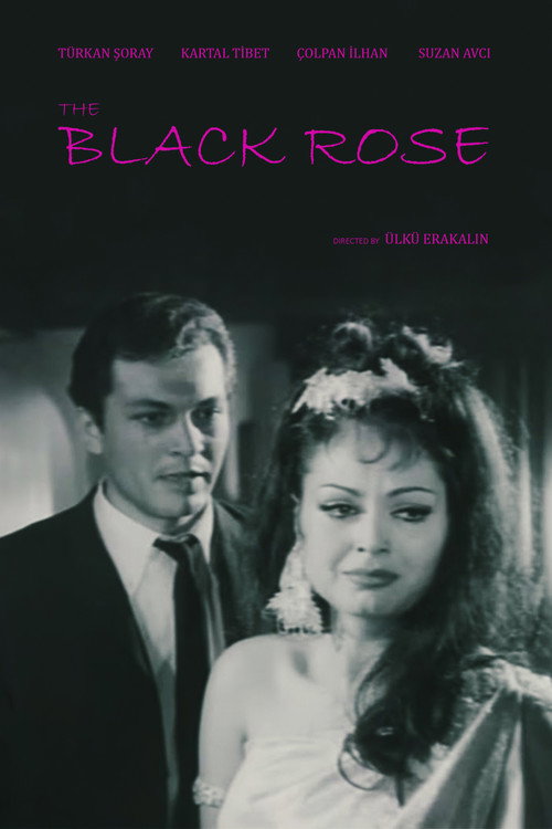 Movie poster for Black Rose (1966)