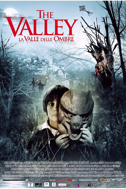 Movie poster for La Vallée delle ombre (2009)