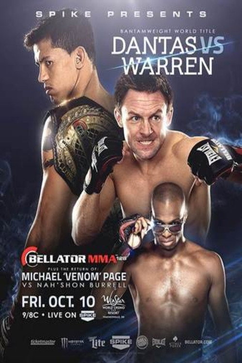 Movie poster for Bellator 128 (2014)
