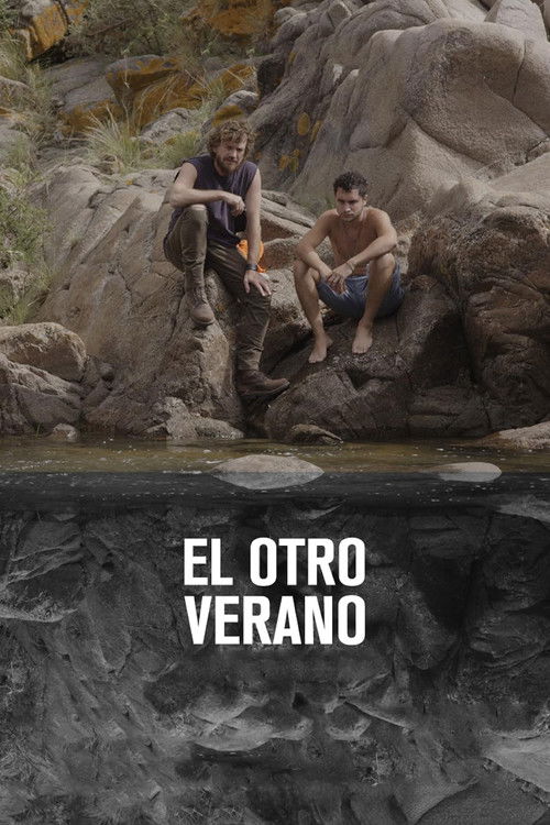 Movie poster for The Other Summer (2018)