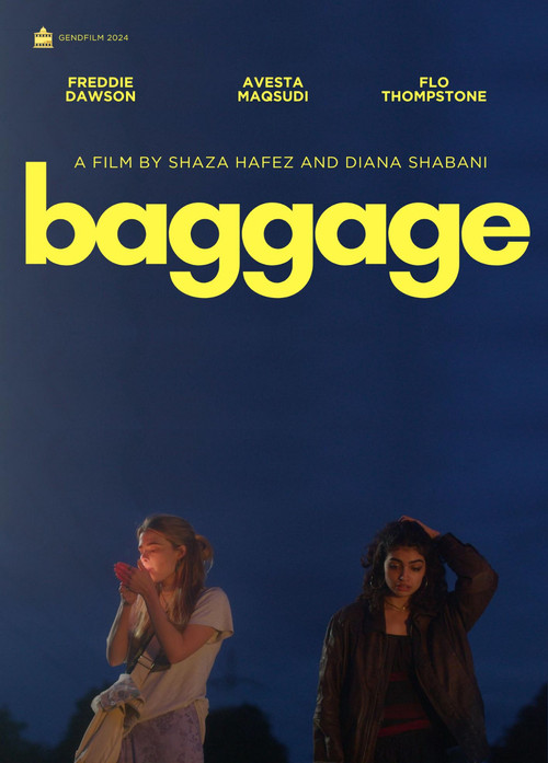 Movie poster for Baggage (2025)