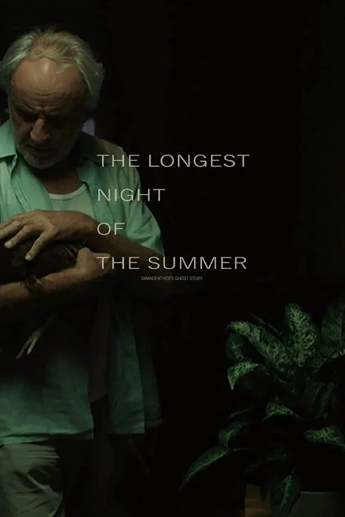 Movie poster for The Longest Night of the Summer (2021)