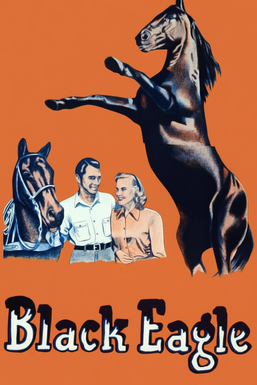Movie poster for Black Eagle (1948)
