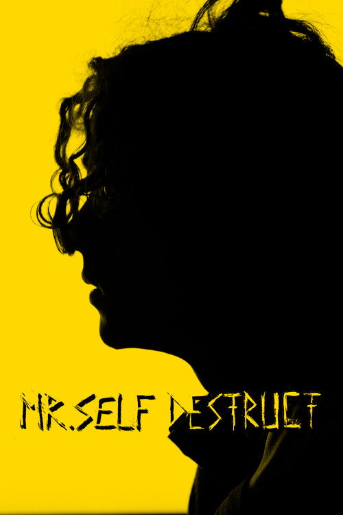 Movie poster for MR. SELF DESTRUCT (2022)