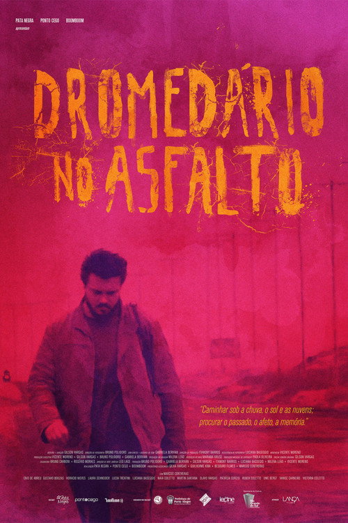 Movie poster for Camel on the Tarmac (2014)