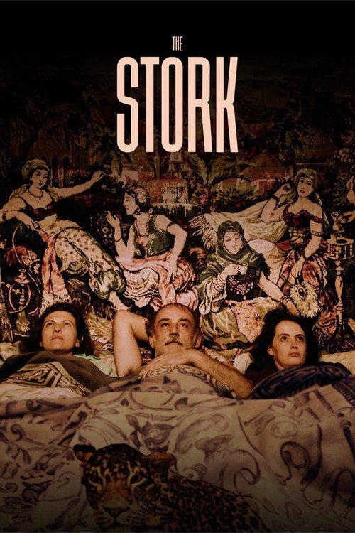 Movie poster for The Stork (2024)