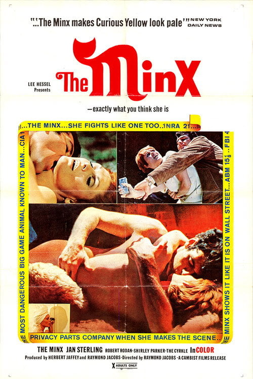 Movie poster for The Minx (1969)