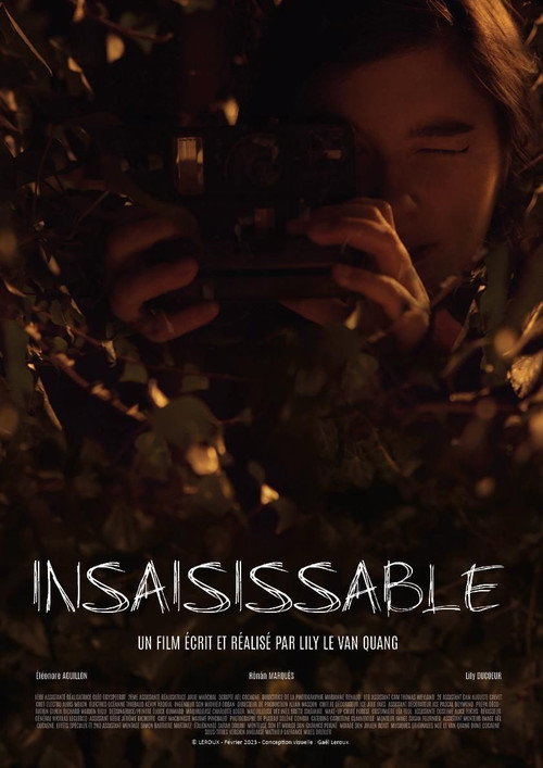Movie poster for Insaisissable