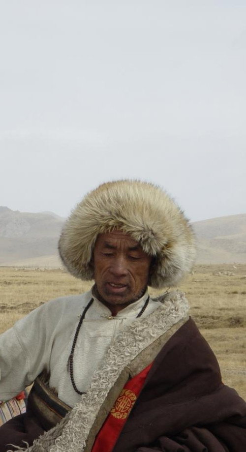 Movie poster for The Grassland (2004)