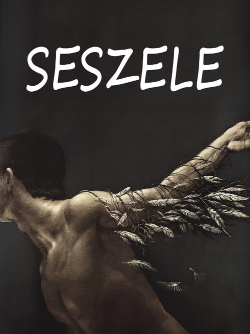 Movie poster for Seychelles (1991)