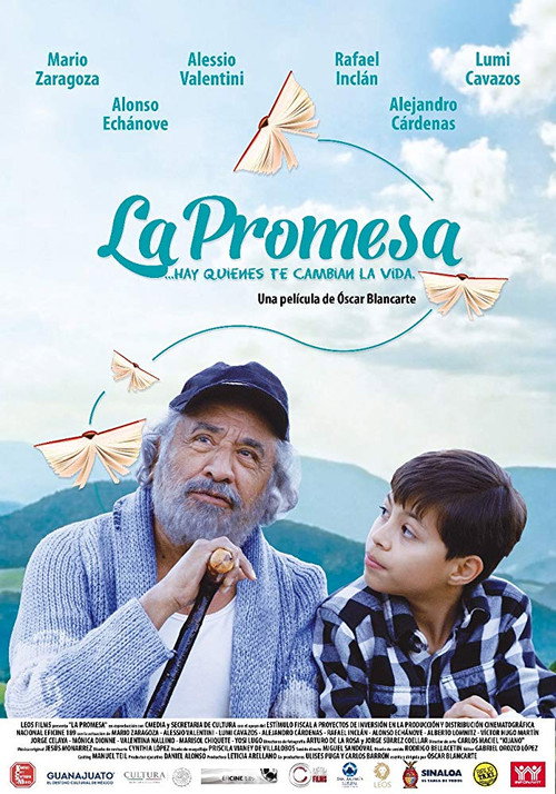 Movie poster for The Promise (2018)