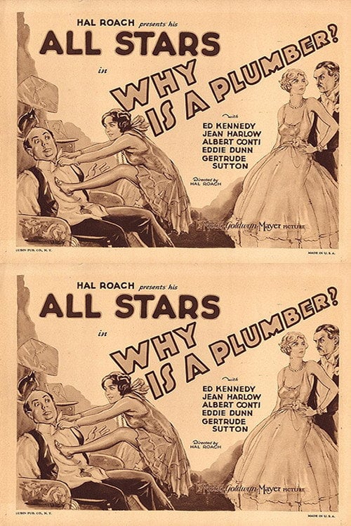Movie poster for Why Is a Plumber? (1929)
