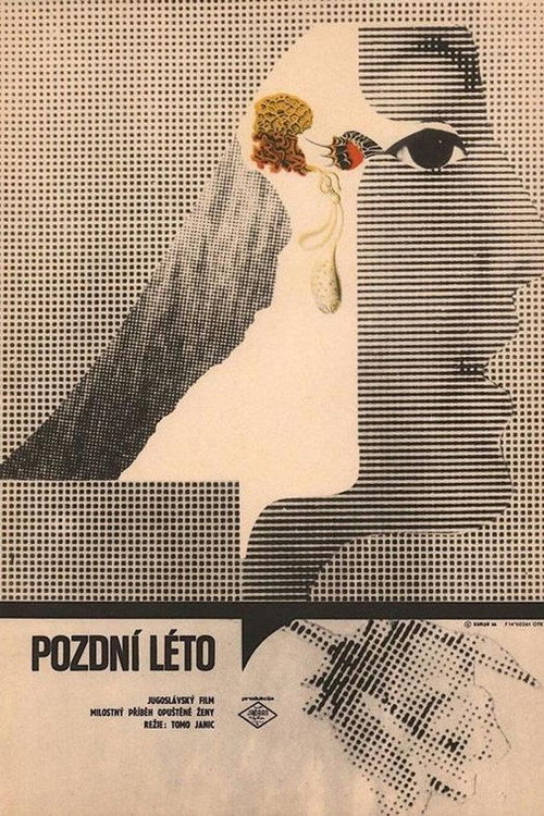 Movie poster for Pozdní léto (1974)