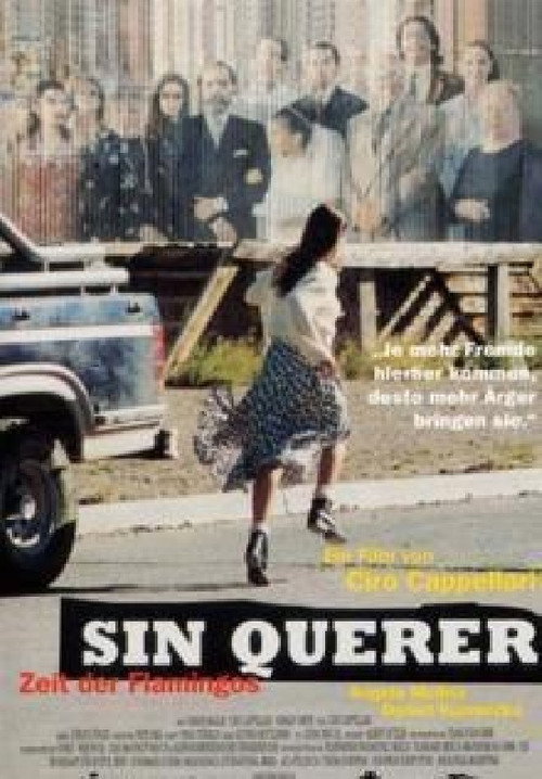 Movie poster for Sin querer (1997)