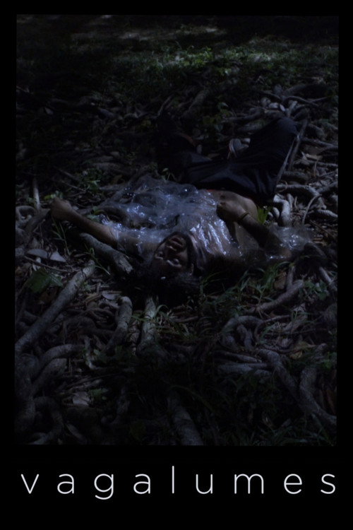 Movie poster for Fireflies (2021)