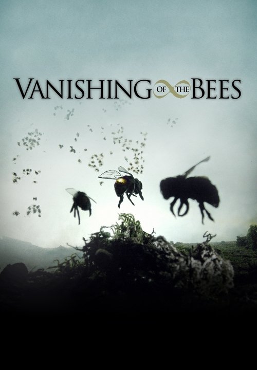 Movie poster for Vanishing of the Bees (2009)