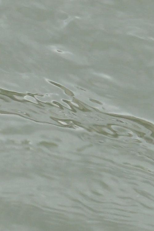 Movie poster for entre les vagues (un hommage) (2023)