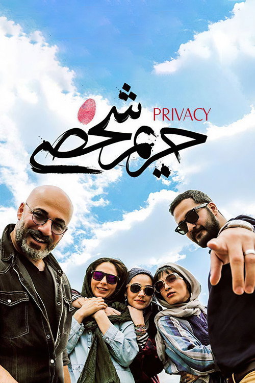 Movie poster for Privacy (2017)