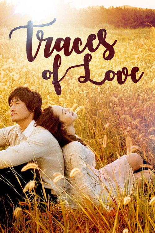 Movie poster for Traces of Love (2006)