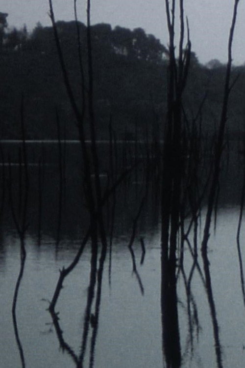 Movie poster for Sleeping waters (2016)