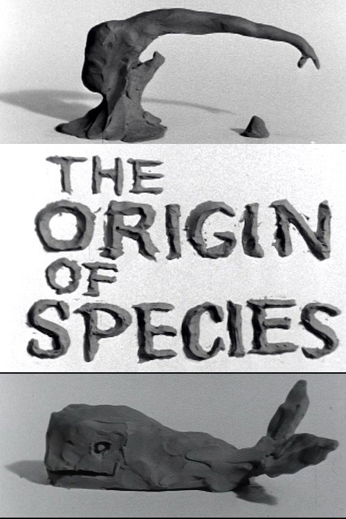 Movie poster for Clay or The Origin of Species (1965)