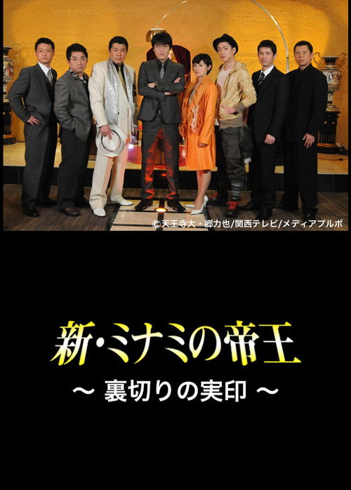 Movie poster for The King of Minami Returns: The Seal of Betrayal (2011)