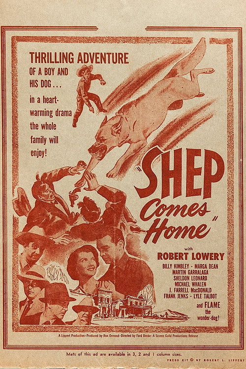 Movie poster for Shep Comes Home (1948)