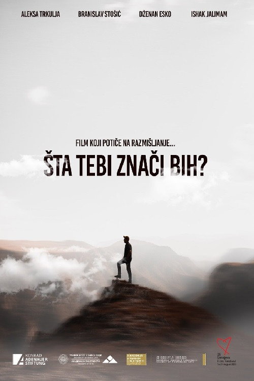 Movie poster for What Does Bosnia Mean to You? (2020)