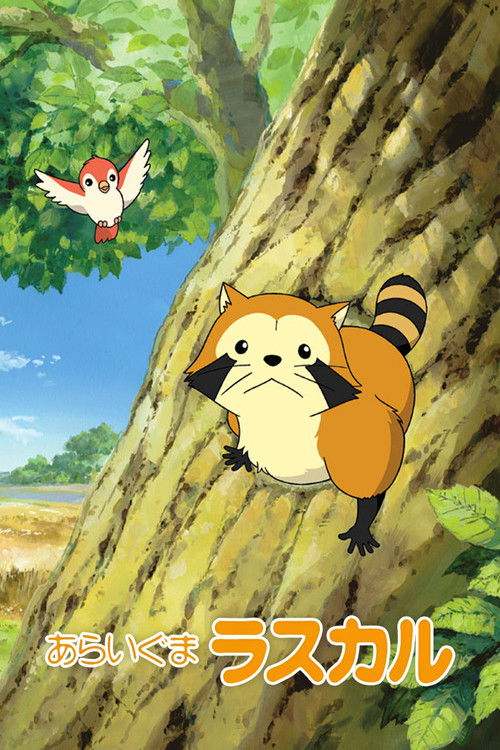 Rascal the Raccoon poster