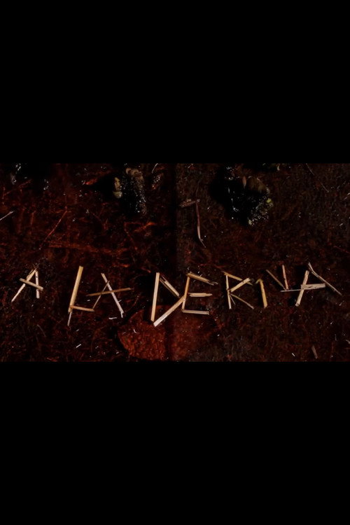 Movie poster for A La Deriva (2013)