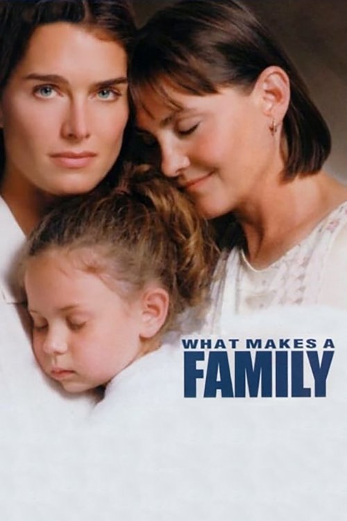Movie poster for What Makes a Family (2001)