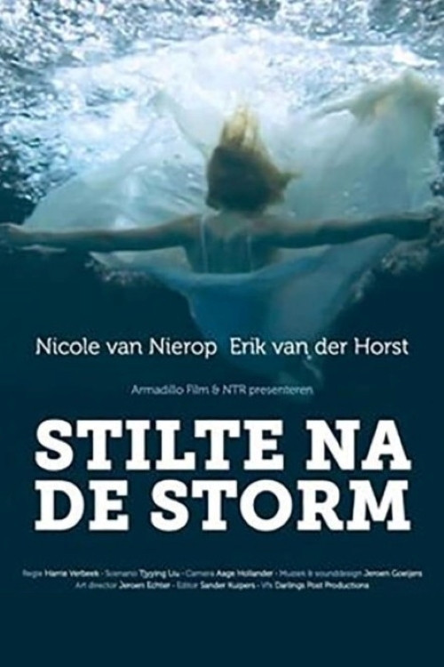 Movie poster for Stilte na de storm (2011)
