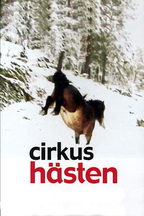 Movie poster for The Circus Horse (2003)