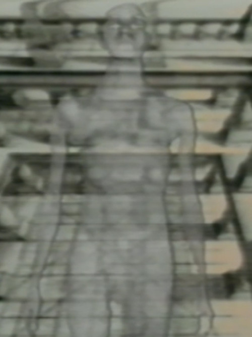 Movie poster for Viewers Of Optics (1987)