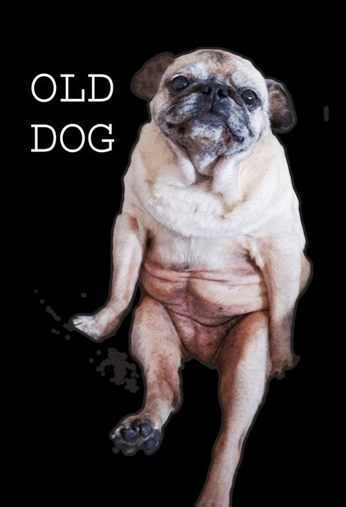 Movie poster for Old Dog (2017)
